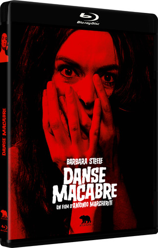 Danse macabre master - danse,